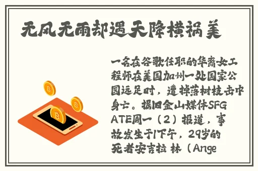 后营露营2温泉之旅无增删